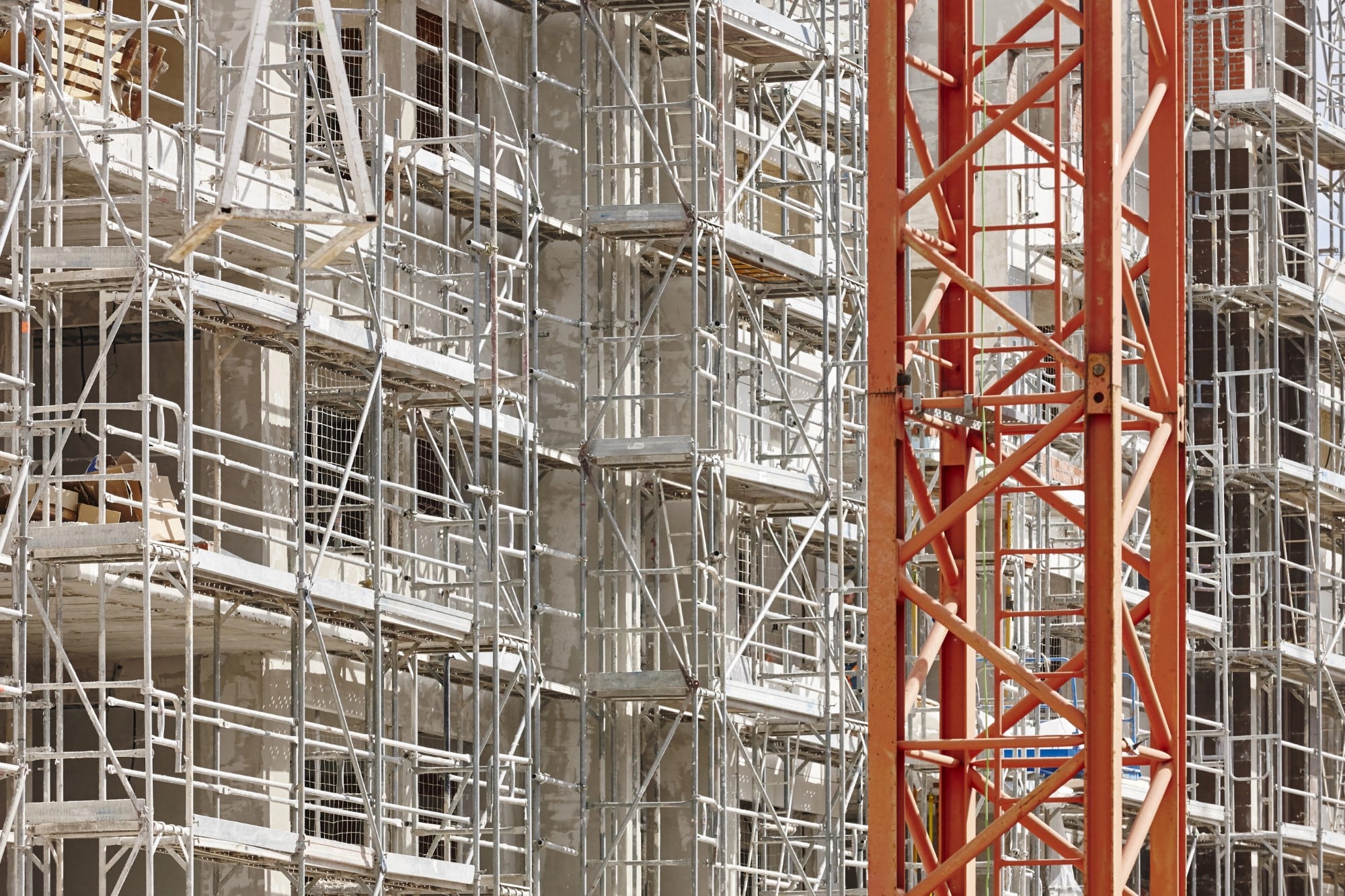 פיגום זקפים