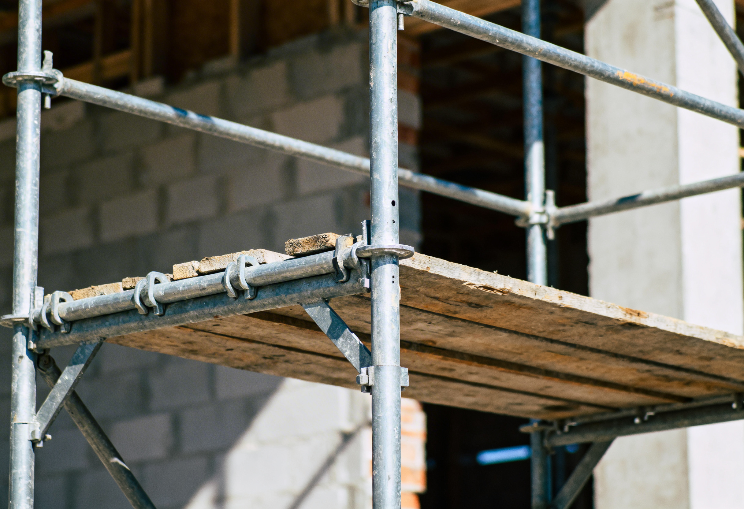 פיגום חמורי